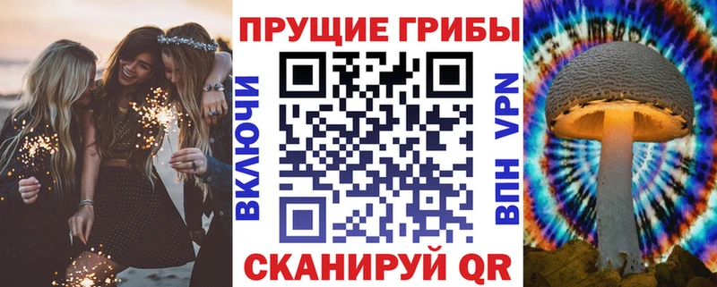 Галлюциногенные грибы Psilocybine cubensis  купить  сайты  blacksprut зеркало  Иноземцево 